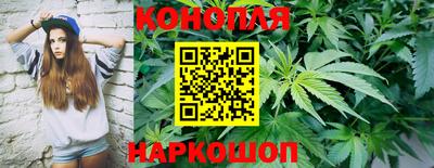 дурь Пенза