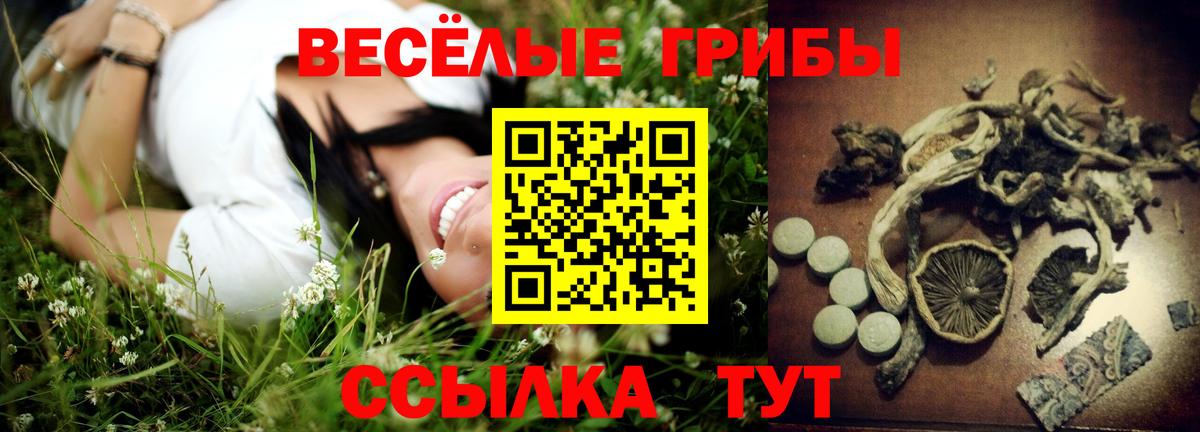 Псилоцибиновые грибы Psilocybine cubensis  Вход с VPN  Россия 