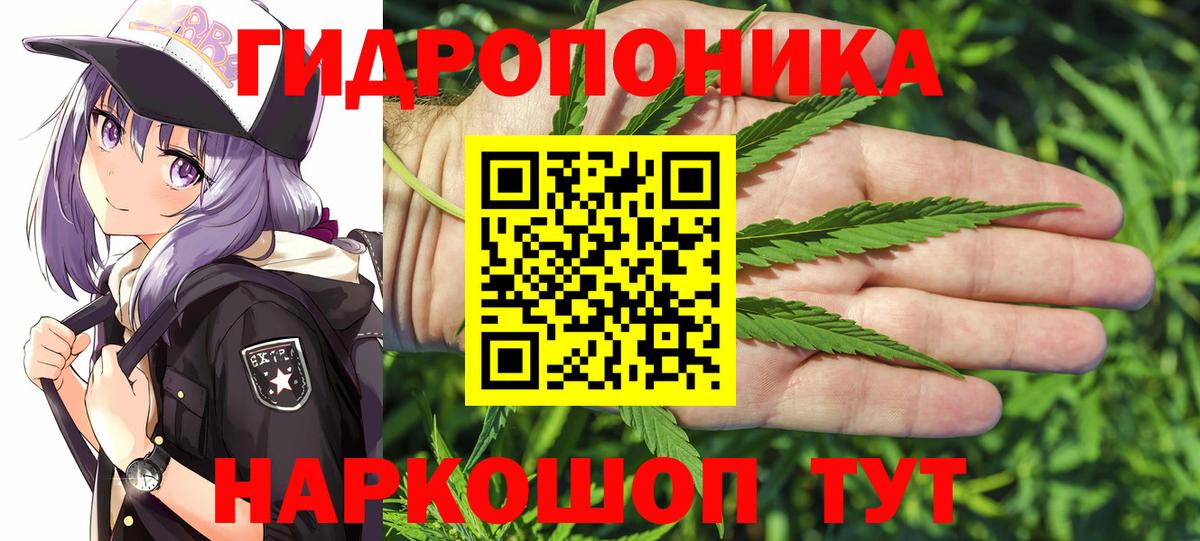 МАРИХУАНА план Россия